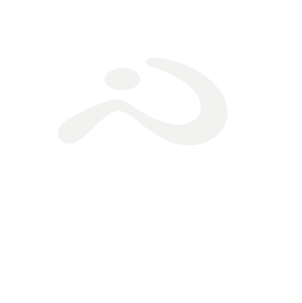 NittoMex 500x500