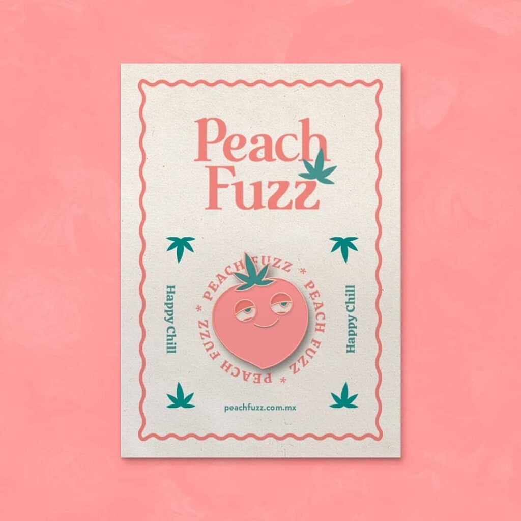 274506888_4812348695523255_5764276472400010373_n