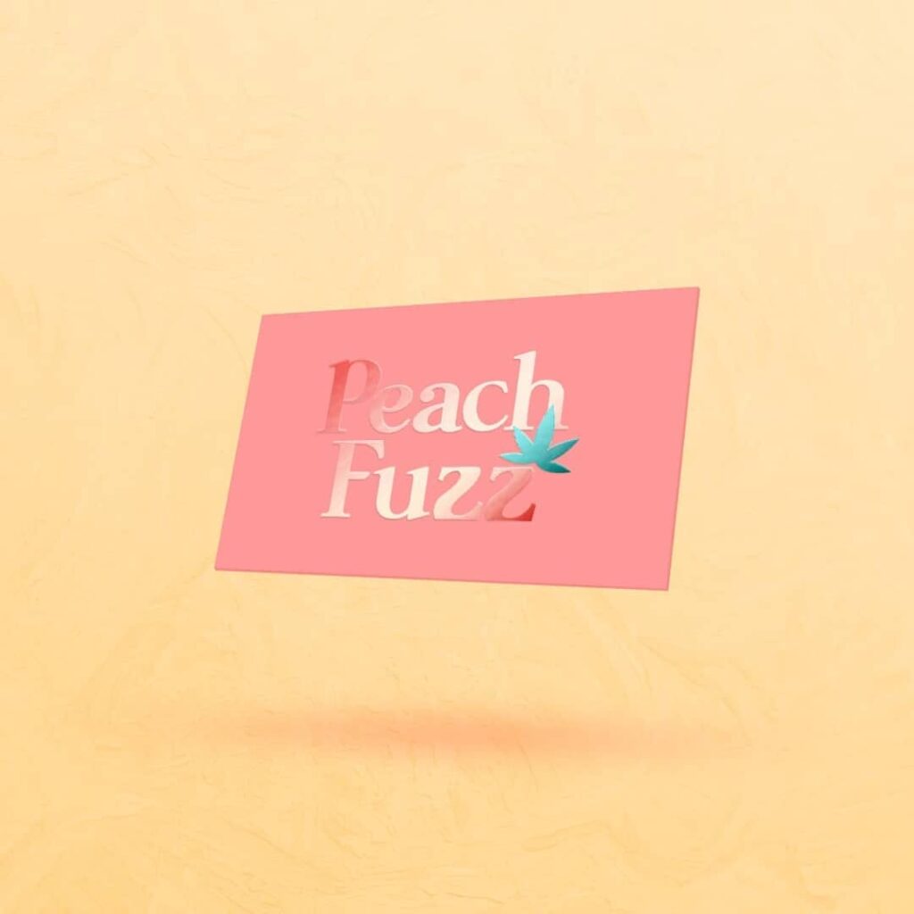 274650722_4812348525523272_2161380790179884747_n