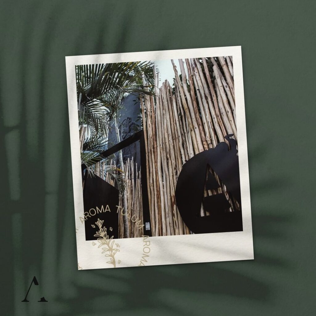 WhatsApp Image 2024-10-04 at 2.49.19 PM