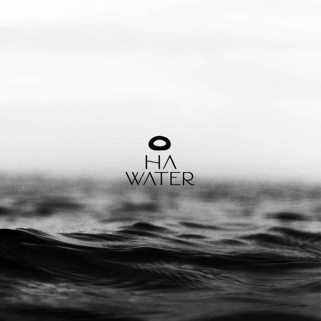 WhatsApp Image 2024-10-04 at 2.59.21 PM (5)